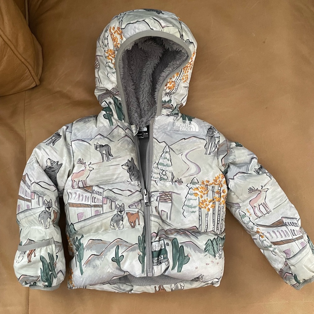 The North Face Baby Jacket with Gray Fleece Lining